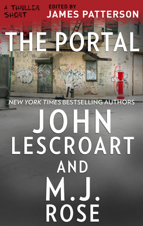 Cover image for book The Portal