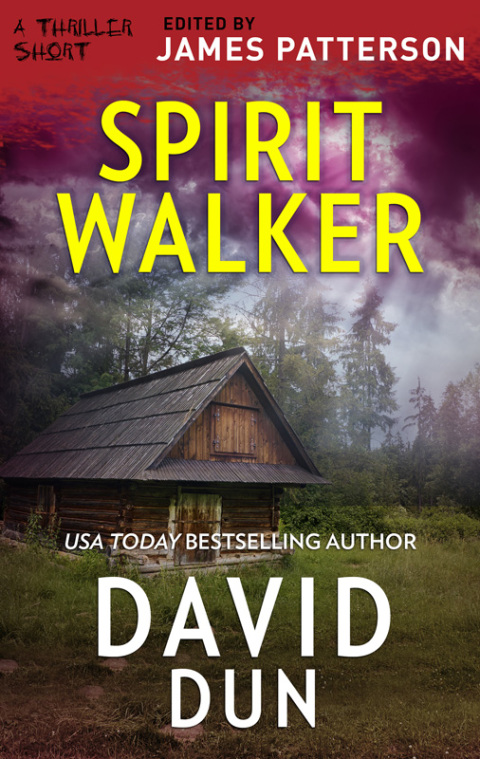 Cover image for book Spirit Walker