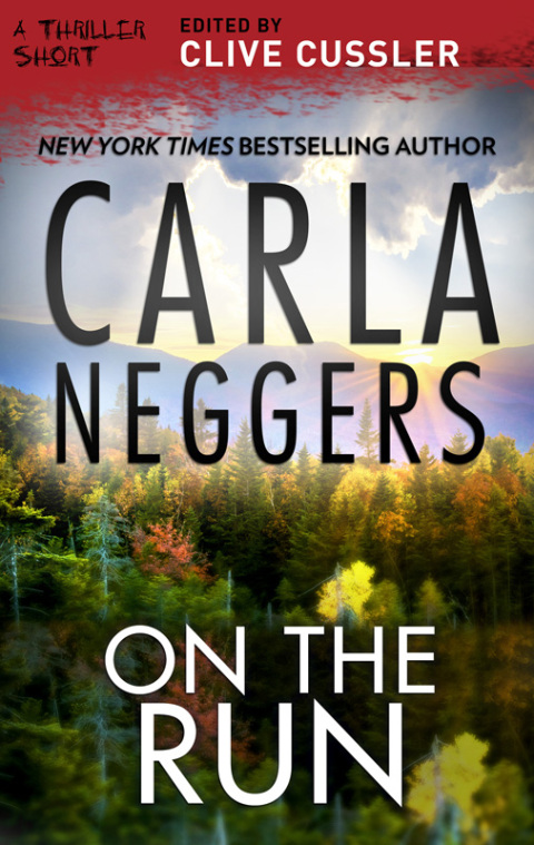 Cover image for book On the Run
