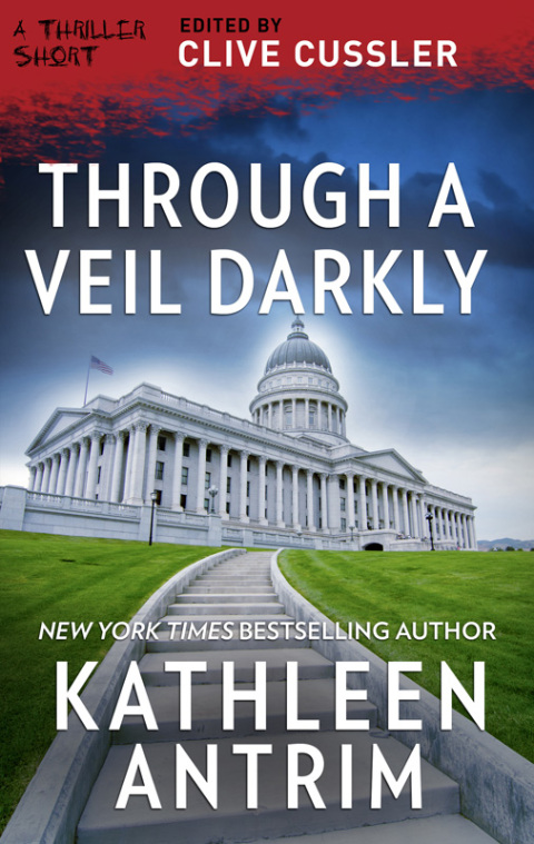 Cover image for book Through a Veil Darkly