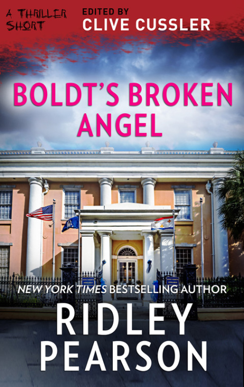 Cover image for book Boldt's Broken Angel