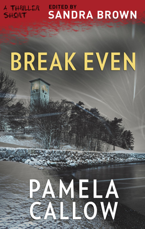 Cover image for book Break Even