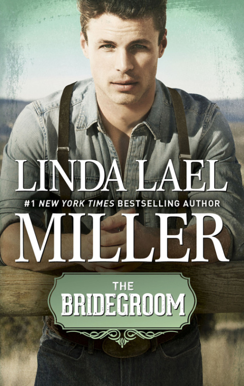 Cover image for book The Bridegroom
