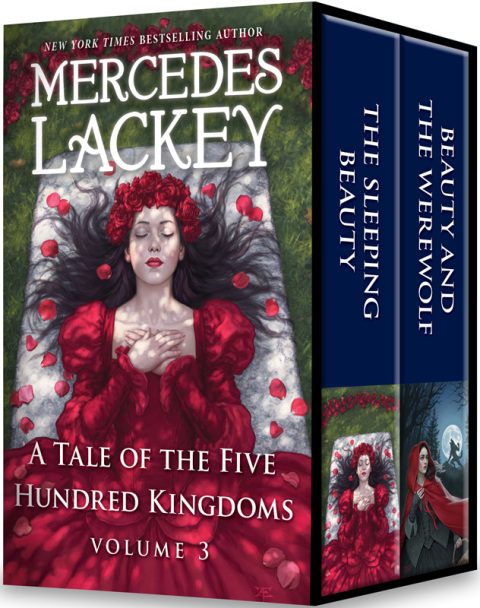 Cover image for book A Tale of the Five Hundred Kingdoms Volume 3