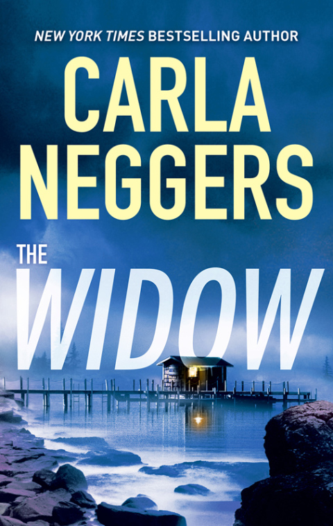 Cover image for book The Widow