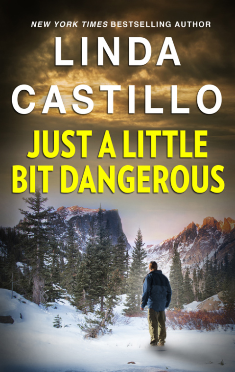 Cover image for book Just a Little Bit Dangerous
