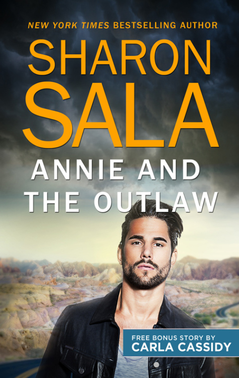Cover image for book Annie and the Outlaw & Her Cowboy Distraction