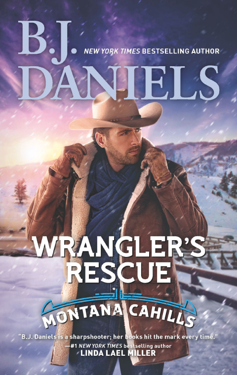 Cover image for book Wrangler's Rescue