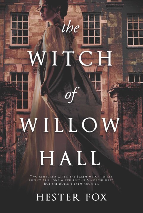 Cover image for book The Witch of Willow Hall