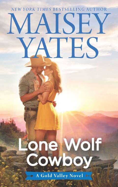 Cover image for book Lone Wolf Cowboy
