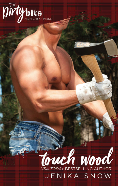 Cover image for book Touch Wood