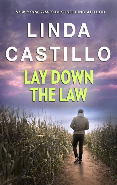 Cover image for book Lay Down the Law
