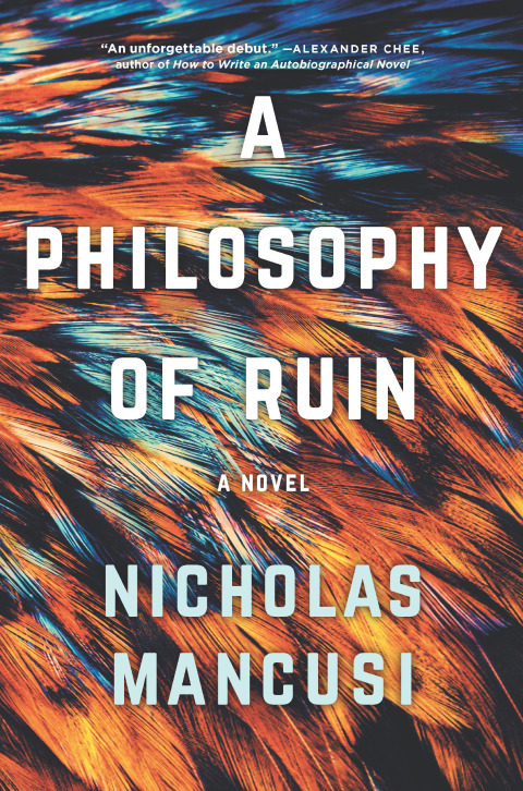 Cover image for book A Philosophy of Ruin