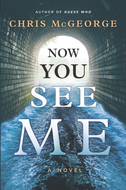 Cover image for book Now You See Me
