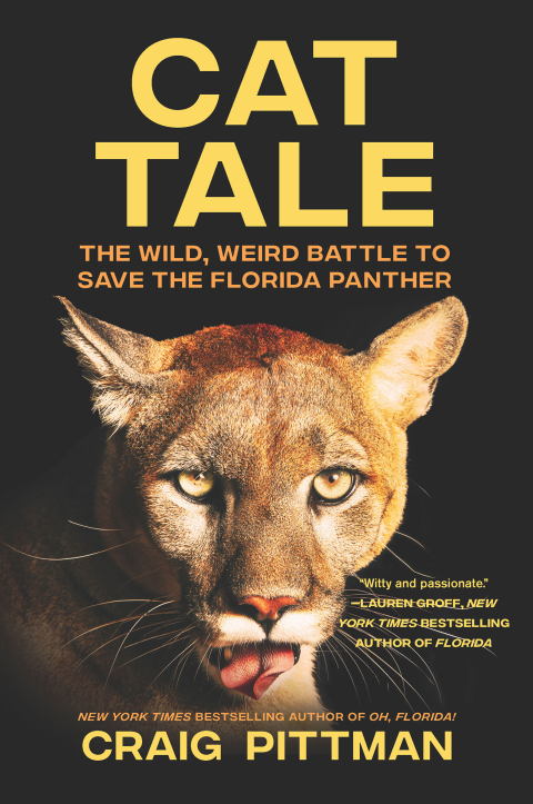 Cover image for book Cat Tale