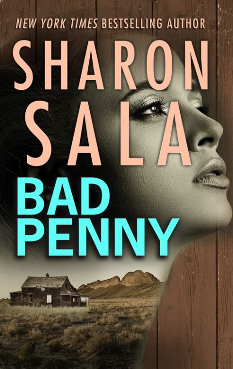 Cover image for book Bad Penny