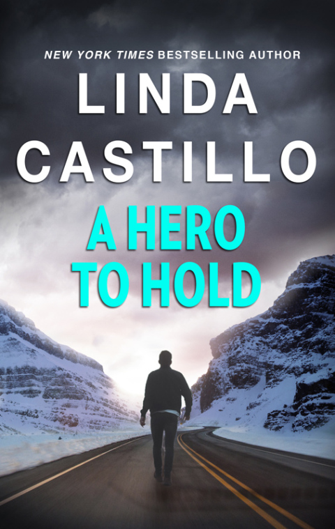 Cover image for book A Hero to Hold