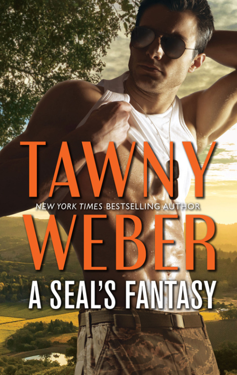 Cover image for book A SEAL's Fantasy