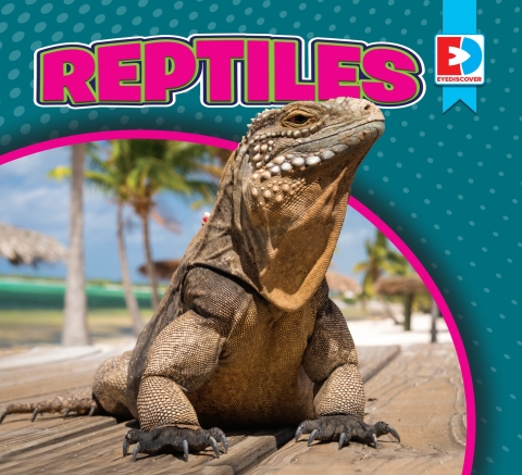 Cover image for book Reptiles