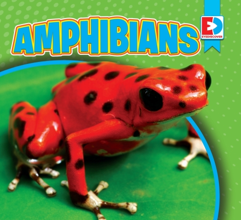 Cover image for book Amphibians