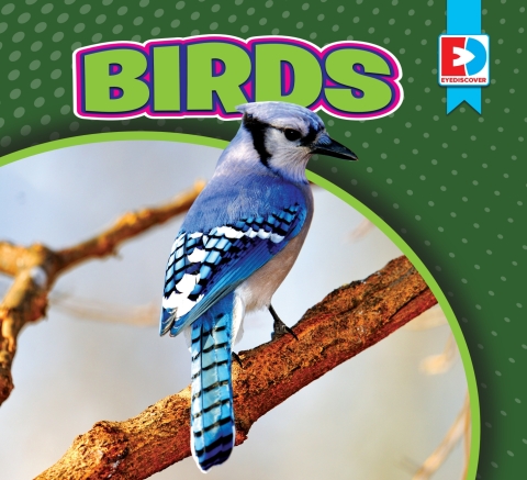 Cover image for book Birds