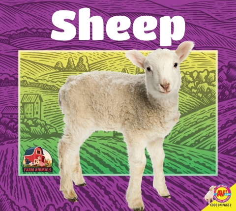 Cover image for book Sheep