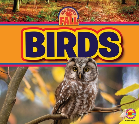 Cover image for book Birds
