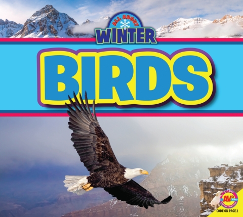 Cover image for book Birds