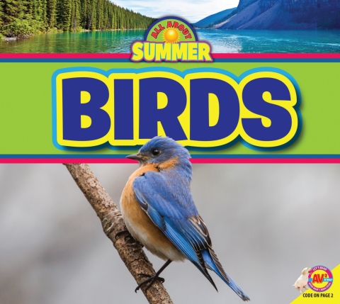 Cover image for book Birds