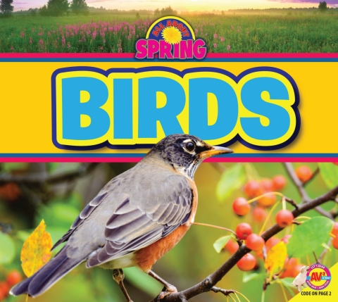 Cover image for book Birds