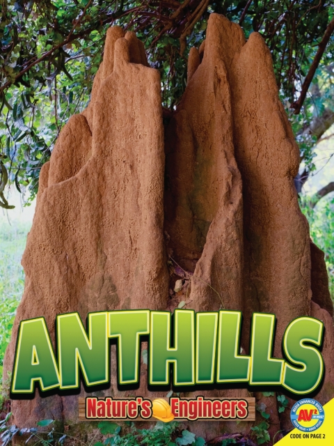 Cover image for book Anthills