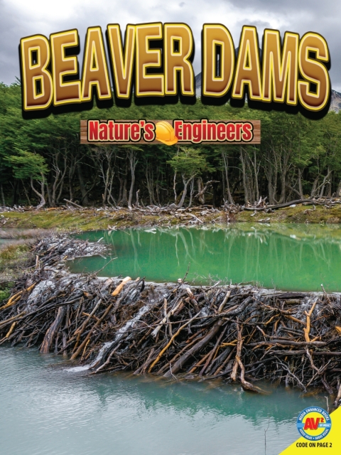 Cover image for book Beaver Dams