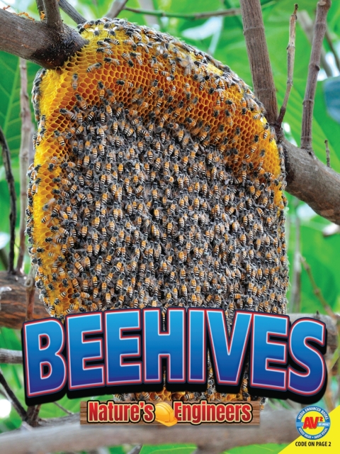 Cover image for book Beehives