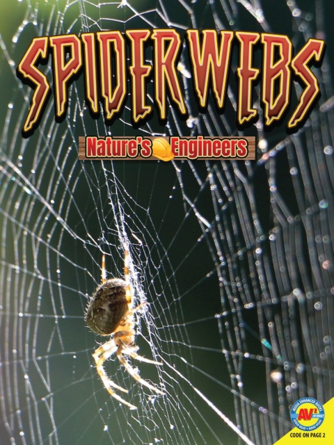 Cover image for book Spiderwebs