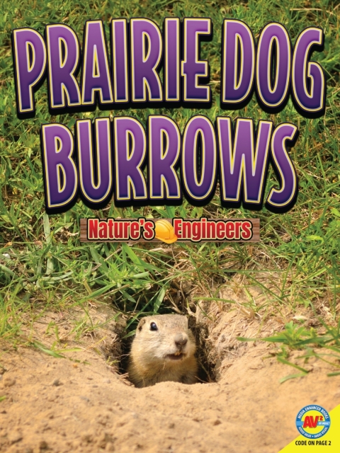 Cover image for book Prairie Dog Burrows
