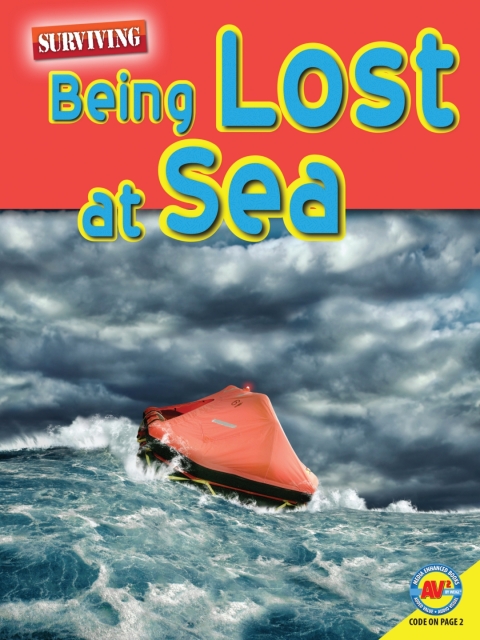 Cover image for book Being Lost at Sea