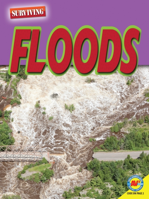 Cover image for book Floods