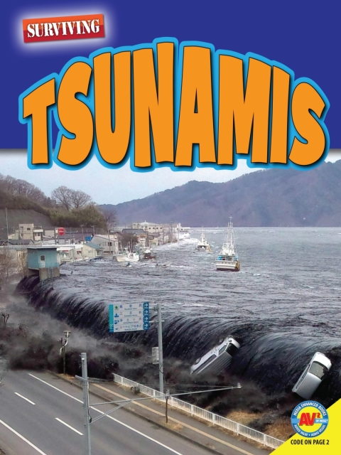 Cover image for book Tsunamis