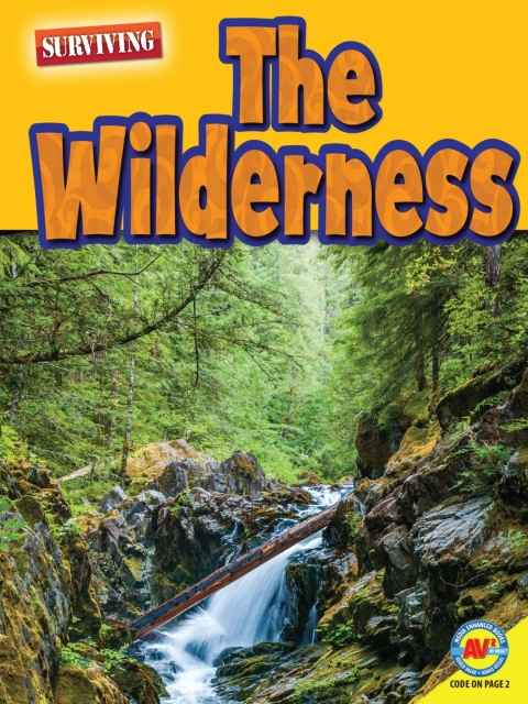 Cover image for book The Wilderness