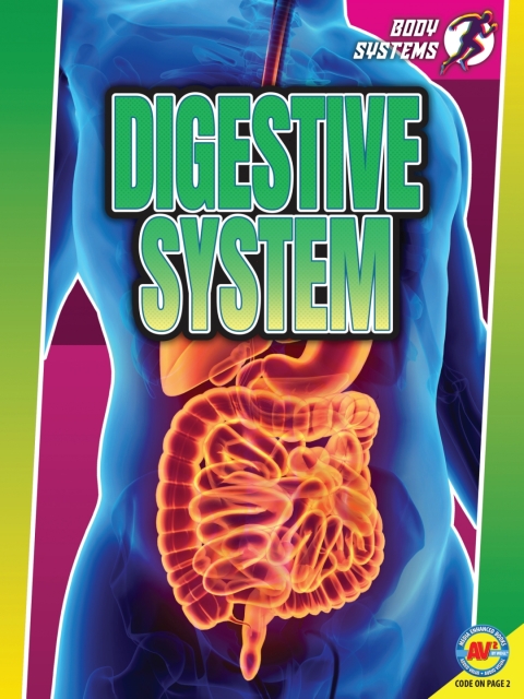 Cover image for book Digestive System
