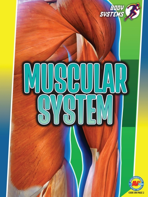 Cover image for book Muscular System