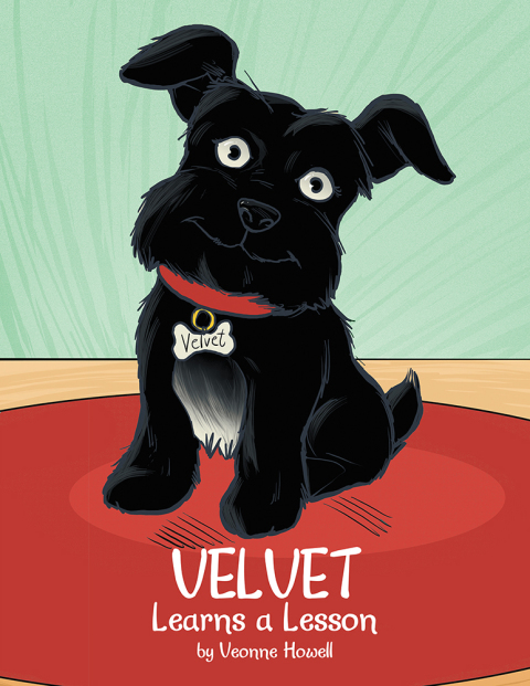 Cover image for book Velvet Learns a Lesson