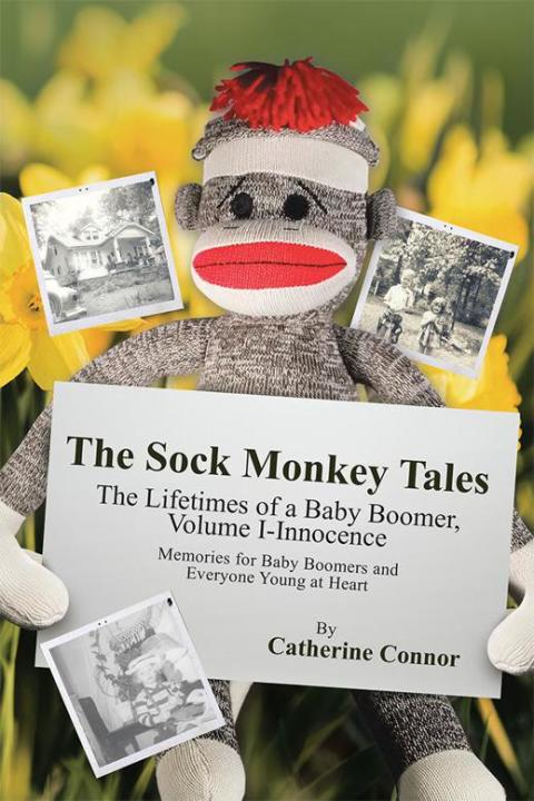 Cover image for book The Sock Monkey Tales