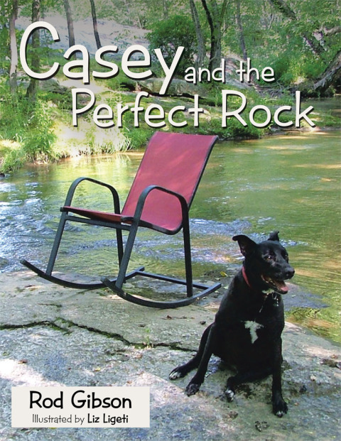 Cover image for book Casey and the Perfect Rock