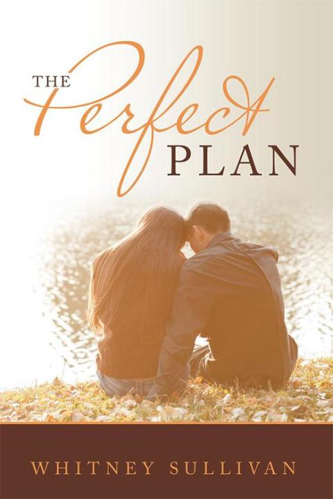 Cover image for book The Perfect Plan