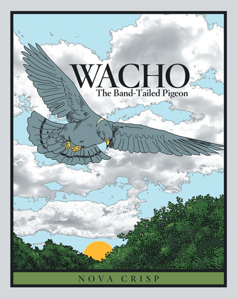 Cover image for book Wacho