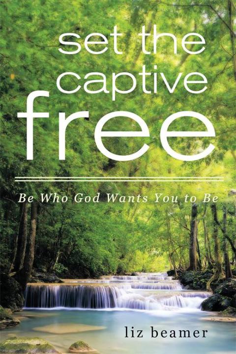 Cover image for book Set the Captive Free