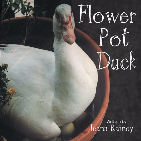 Cover image for book Flower Pot Duck