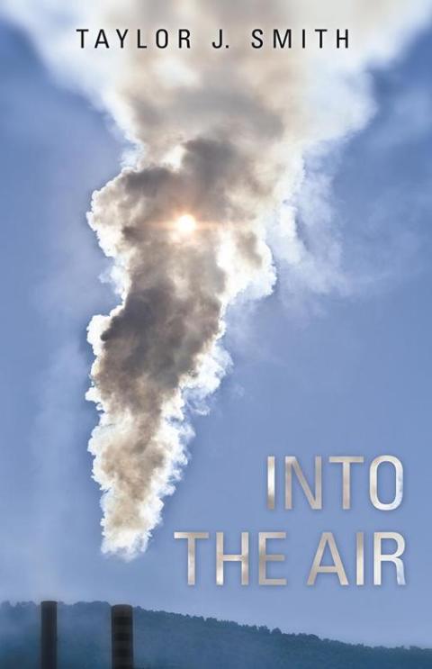 Cover image for book Into the Air