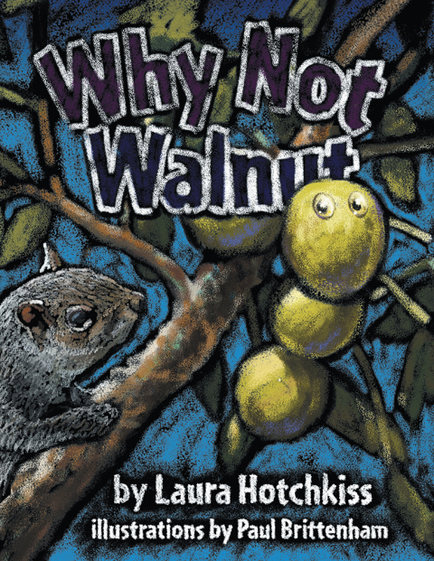 Cover image for book Why Not Walnut